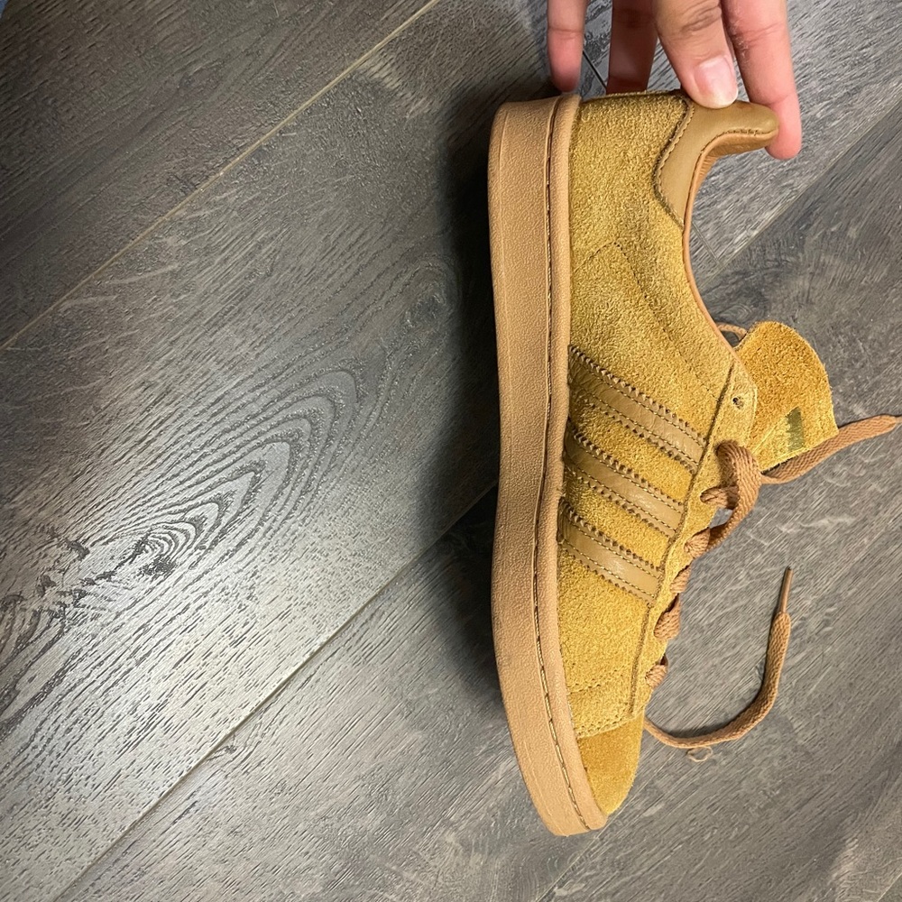 Adidas campus sneakers